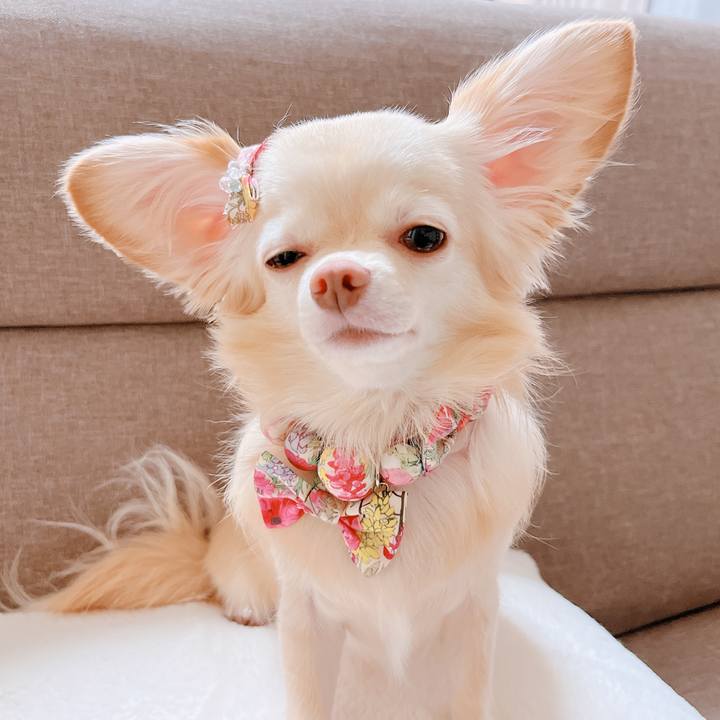 18c92dd7 e3e4 4172 954b 4f36a55ddb30 1665655696006