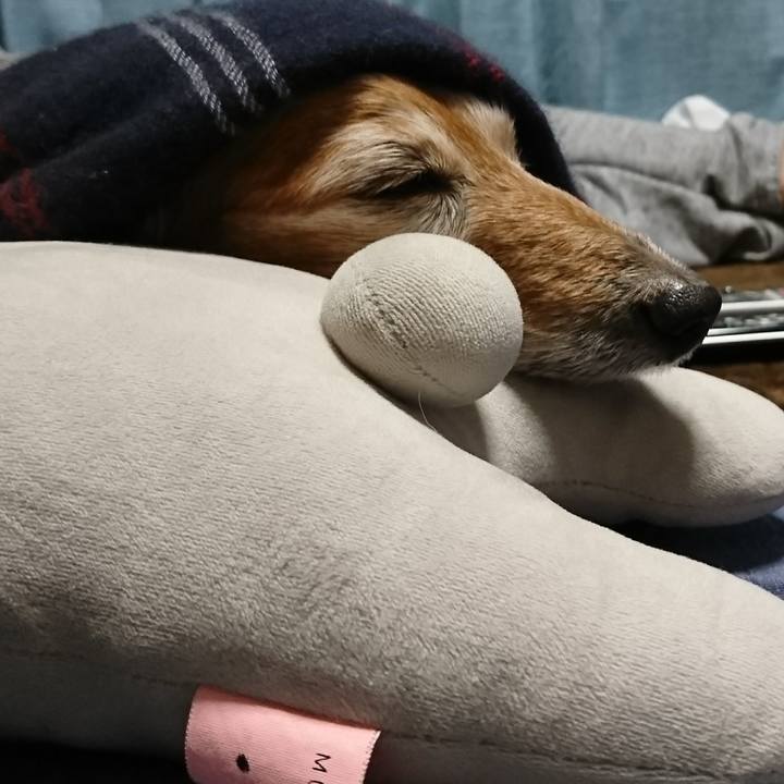 18c96c00 9aae 4024 abef 637be852dc75 1516424059717