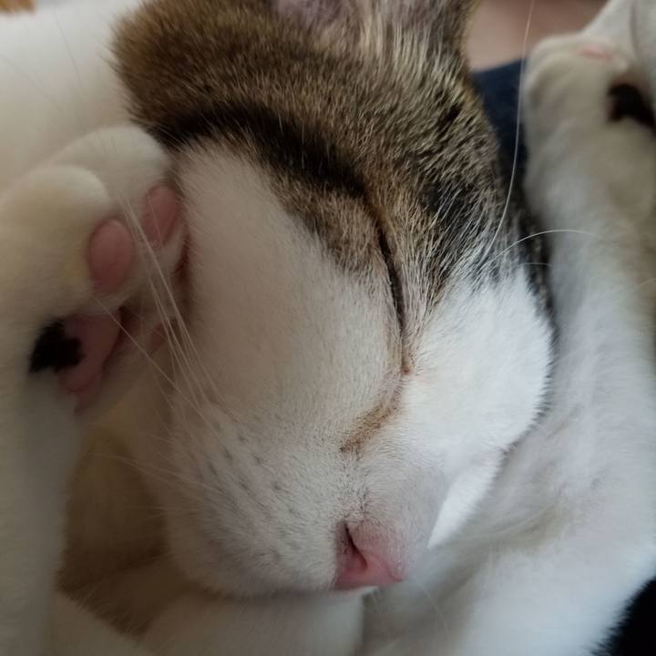 18c981ac 5b0a 4bea a74b d5e5ddc95581 1619827209314