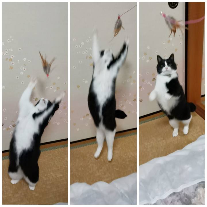 18c98435 66c5 4fb0 ba8f 2e20e965ac63 1608193384094