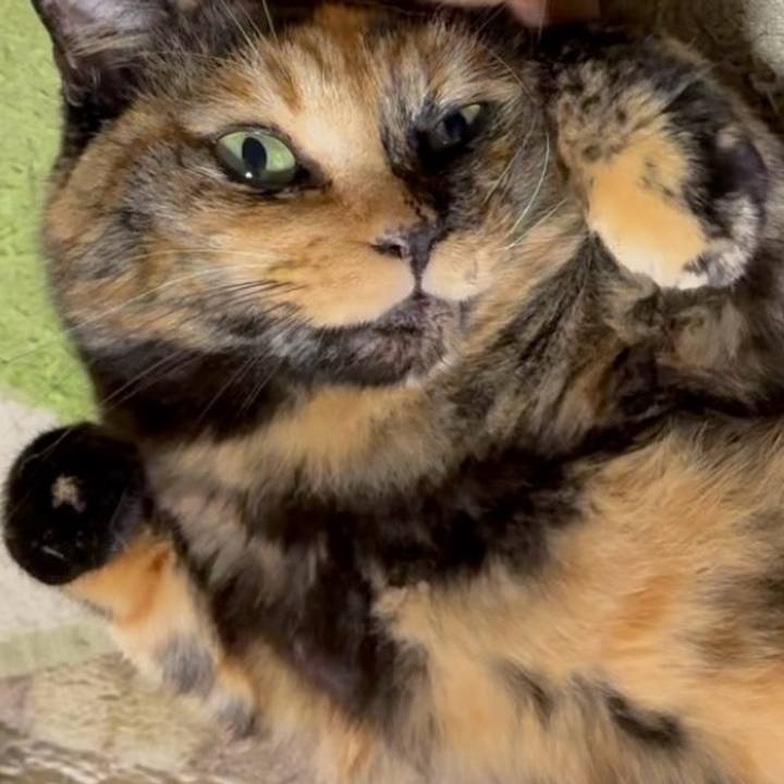 18c98a27 762d 4448 a406 51826ec83729 1761101041359