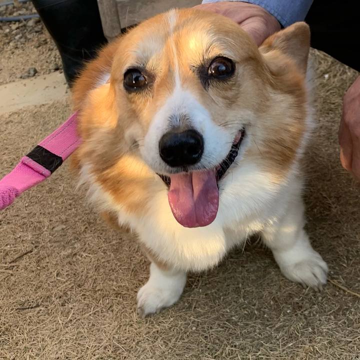 18c9925a ca8f 4fa6 9354 a52d75e8c152 1707810803798