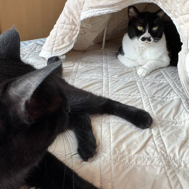 18c9a83d 427a 42c5 a9bf 88065457e12e 1756162236501