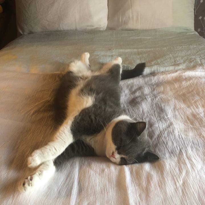 18c9c4ae 5331 48d4 9f14 3f0afbeb98dd 1595583208618