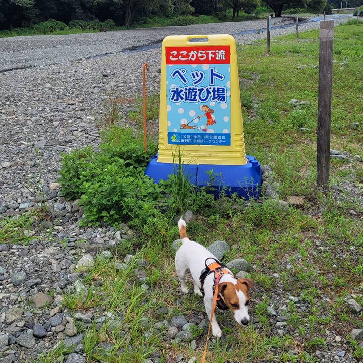 18ca074b b7ab 48eb 98ed 40919f9a27a8 1693897918333