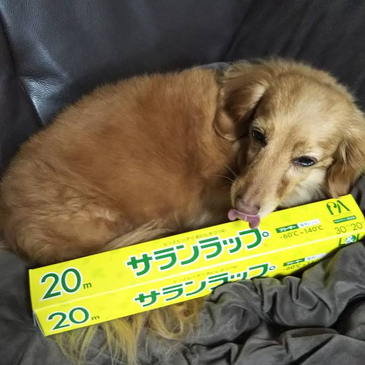 18ca15df 9c0c 4d9f a744 0d3c1592d53b 1585402716936