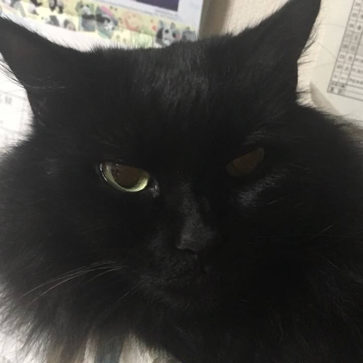 18ca4122 f622 4a32 afe0 4bacdd78b414 1544452144982