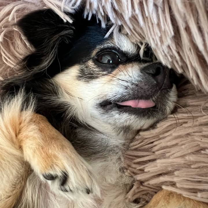 18ca66da f69f 4325 8116 f77ea0e56450 1677646702047