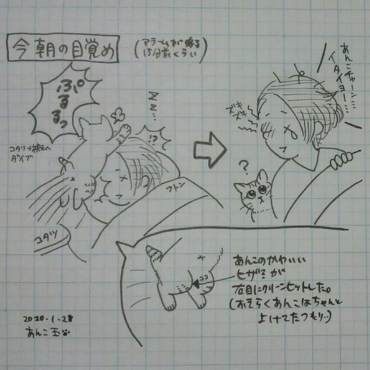 18ca7808 ad59 4eda 8da5 122bf899017e 1580212440041