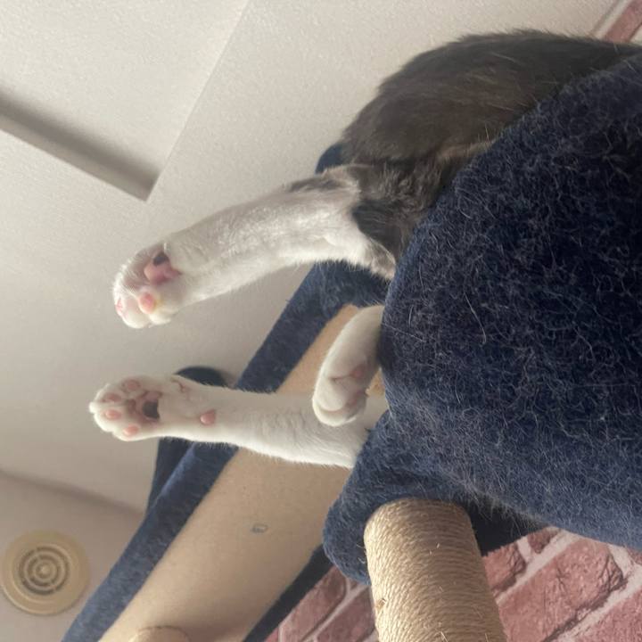 18ca991f 9a5a 4f21 a046 94b248edf111 1686384808391