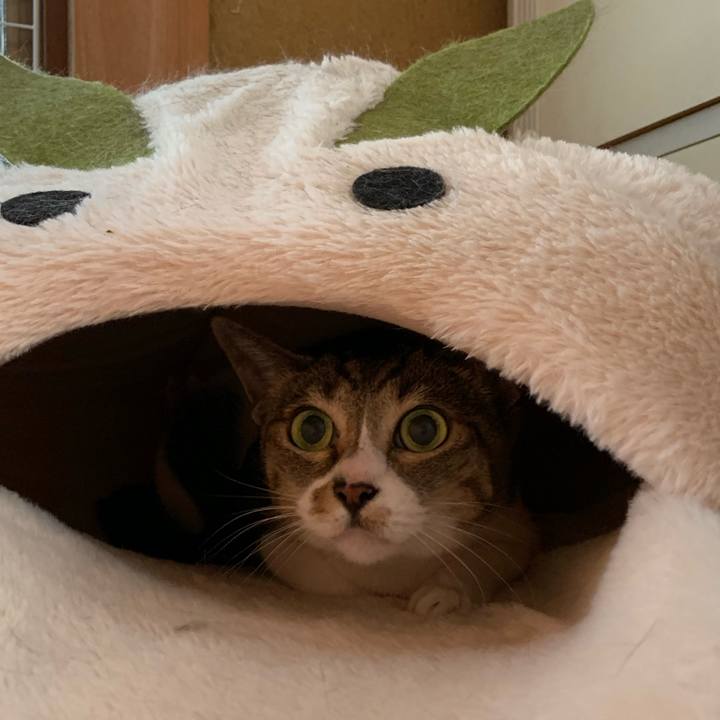 18caac43 f11f 46f2 8f66 f4a4c36d4073 1562548212370