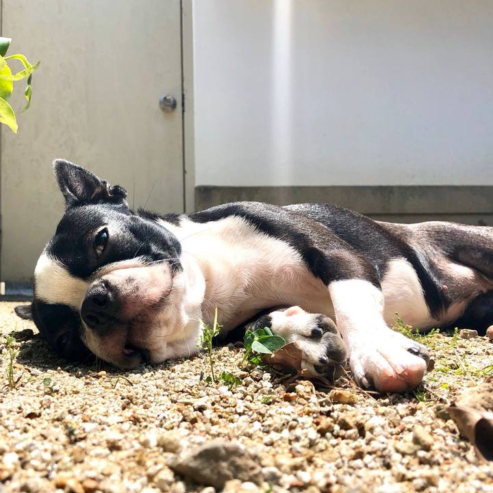 18cacb52 2b30 414a 9da3 e4bc50ed53e1 1531972841664