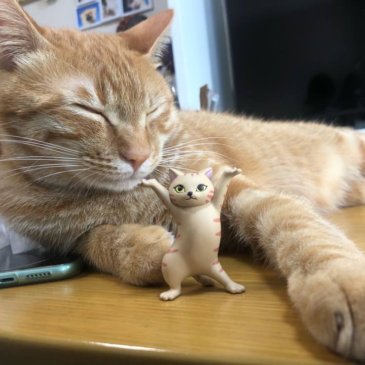 18cacfd0 c9f2 4d44 bb9f a6e09fa74aba 1588474261239