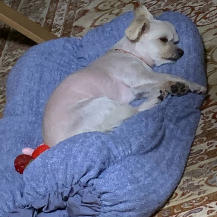 18cad48f 7af6 4abe 8e5d 6290df5d2dd8 1598010442464