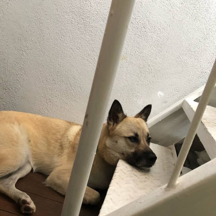 18cafd7c 2e08 4221 bdb4 1cf497b7af95 1528013039053