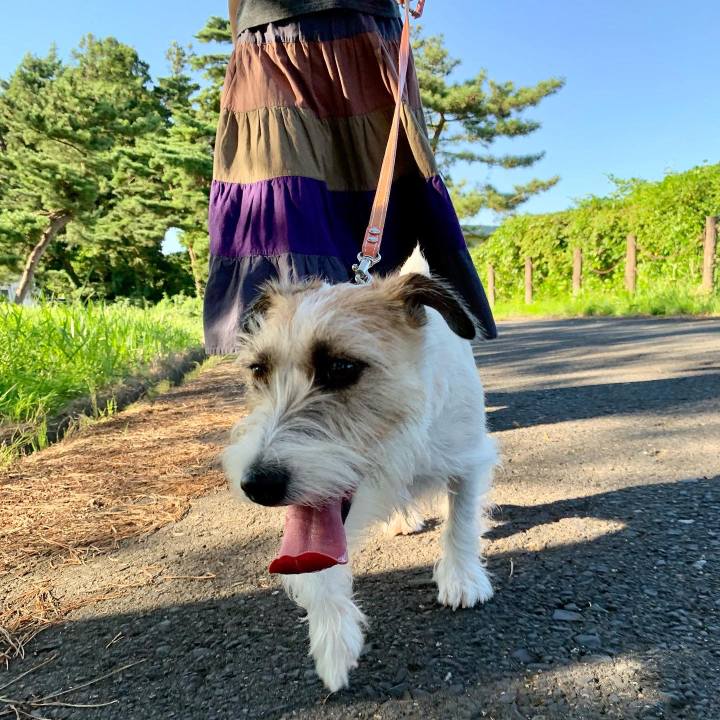 18cb3ef9 b7c0 463a b6fe 7b63b567fb2f 1662813304421