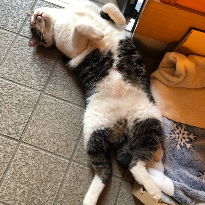 18cb44d7 2935 4561 ad36 66f3a313db05 1540649924303