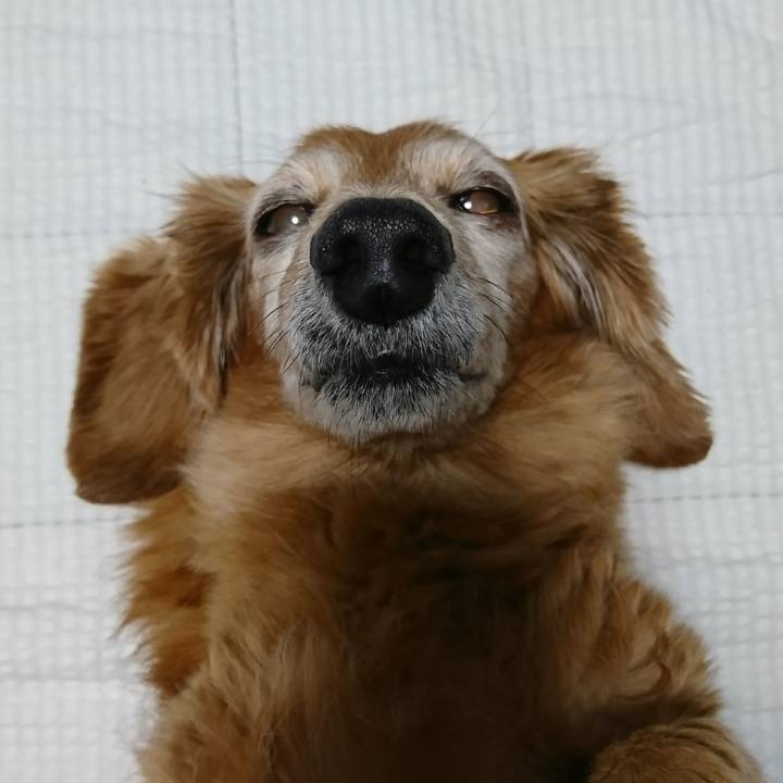 18cb4bfd 67fb 4cfa 8584 d24dedb38ce3 1508780355616