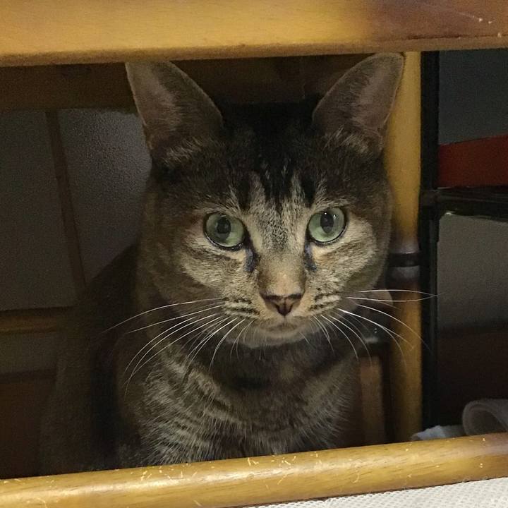 18cb4cfe c21e 4d31 a7a3 743575529f54 1664351578542