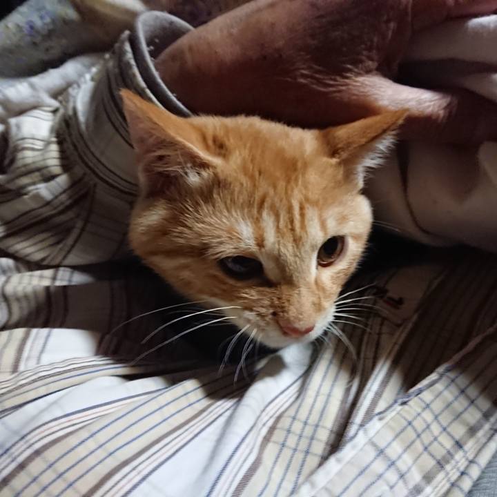 18cba4e4 9612 4794 9e38 510d8f0e77aa 1634847341631