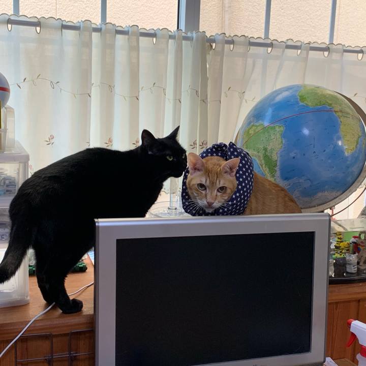 18cbaa4c b337 4022 bdb5 a23aa67feba6 1620080623995