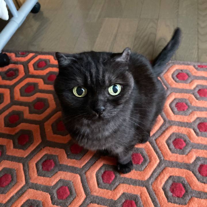 18cbee8f 83c8 4af8 af3a 69e6322f152d 1594605660337