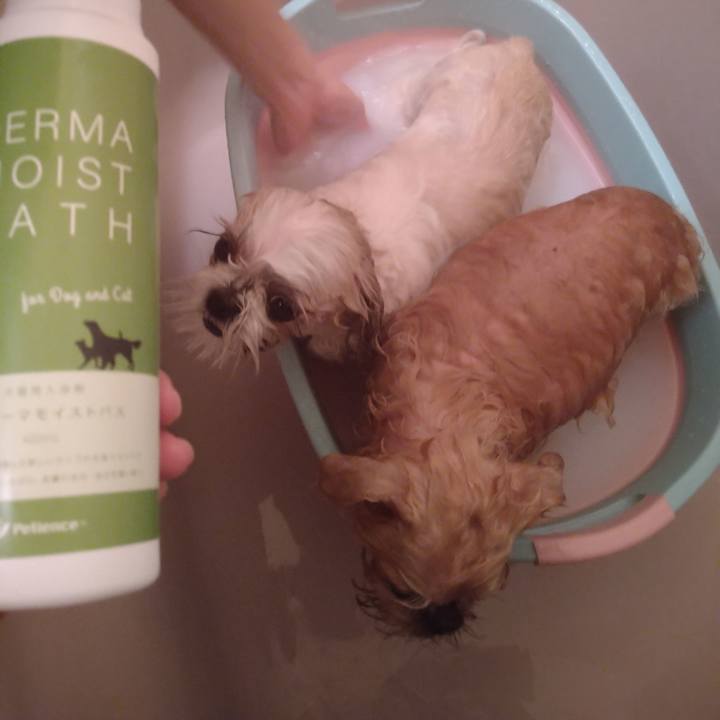 18cc01e3 ee2f 46f7 a8c5 dfe032576e0a 1642907573631