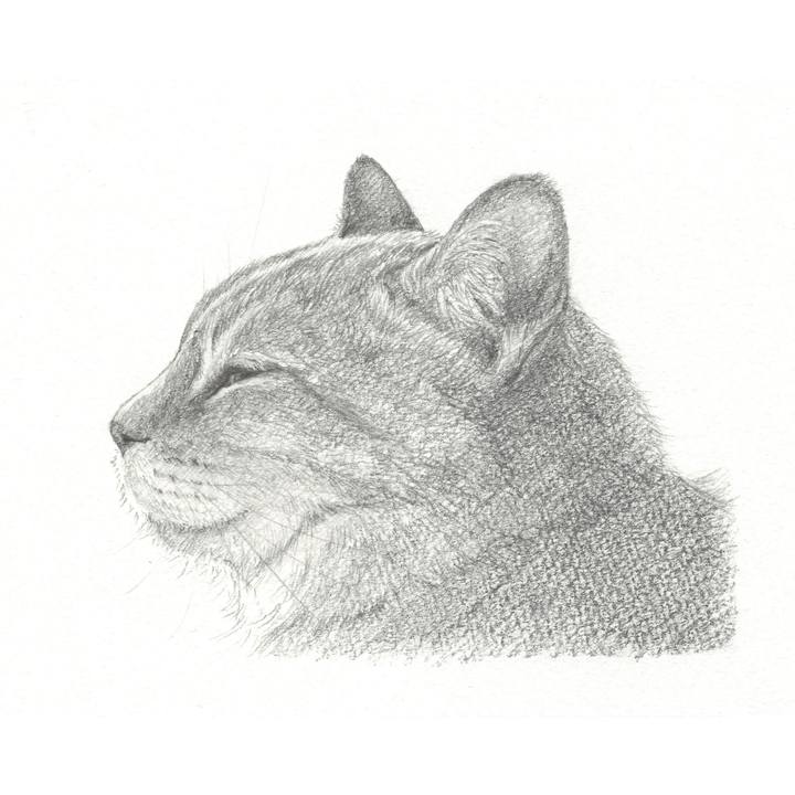 18cc3345 4ed5 4e16 ab6d 3b79dea7802d 1556637058995