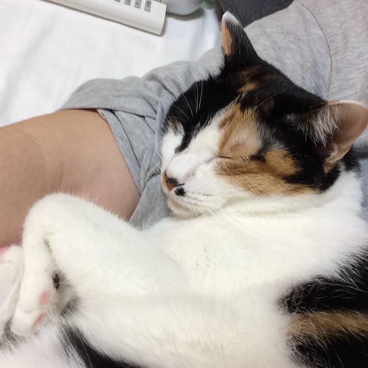 18cc7c9b 46c5 48b3 a06f 7613f8e1ae40 1542753784714