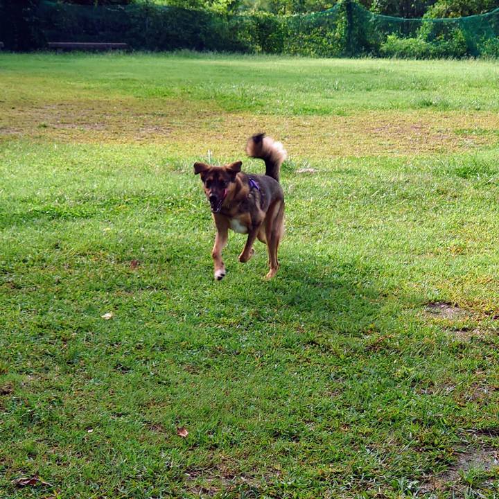 18cc982b 3675 48c1 9b06 655288e2bd87 1695516970547