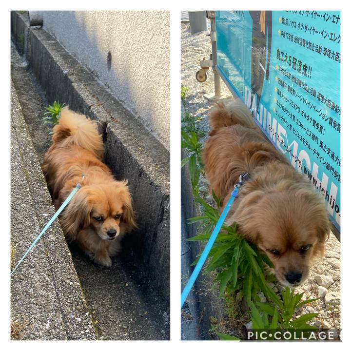 18cc9fd2 f618 4448 a53d 2b327a0edf89 1590795676981