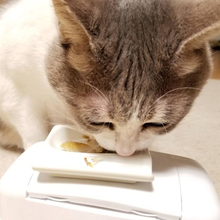 18cca3cd 086c 44e5 8629 ee90475de709 1610191943878