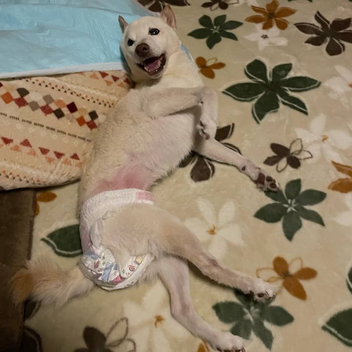 18ccb2da a7a1 4330 a199 bf3445f23dcf 1669388988657