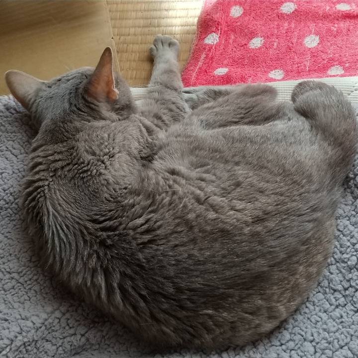 18ccb364 cf0c 4bb8 bece 1a6cfa1a7587 1695684696456