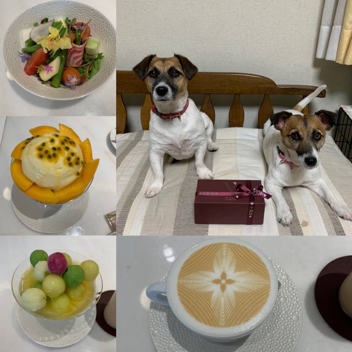 18ccc94d cf53 40b9 b067 118a28bf1be1 1626961743144