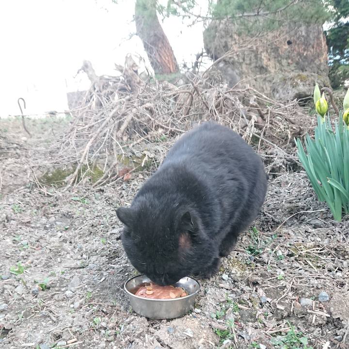 18cd0515 58be 4832 818d 82e5e2e20a04 1649843135449