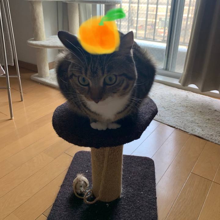 18cd1974 3503 469c a95d a4349815b0cb 1552780788281