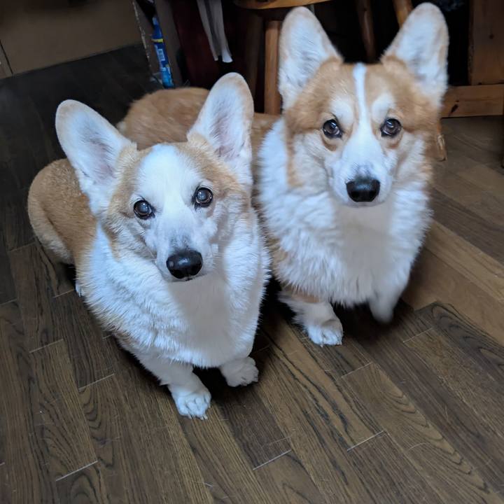 18cd4b89 0802 44fc 8b39 77ffcea83569 1764991431068