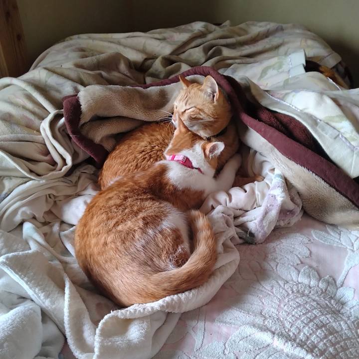 18cda157 aee0 44c1 96a0 8b52444ebda5 1742786250386