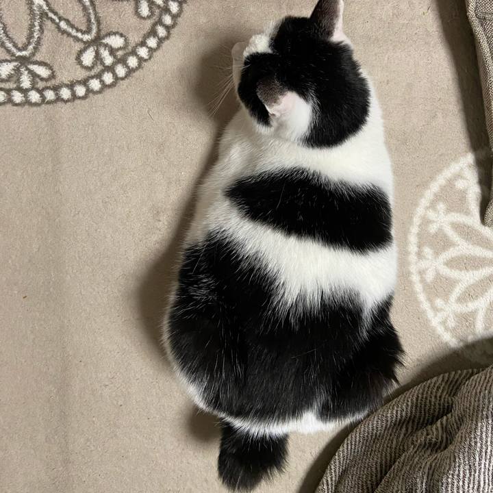 18cdd7fc d097 423d 9a3f 353bb161aa6a 1589544769075