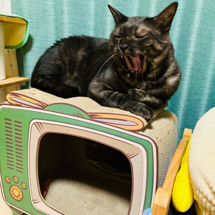 18ce0cee 8d3b 4624 9ff0 5d74d7fe98ae 1745756241616