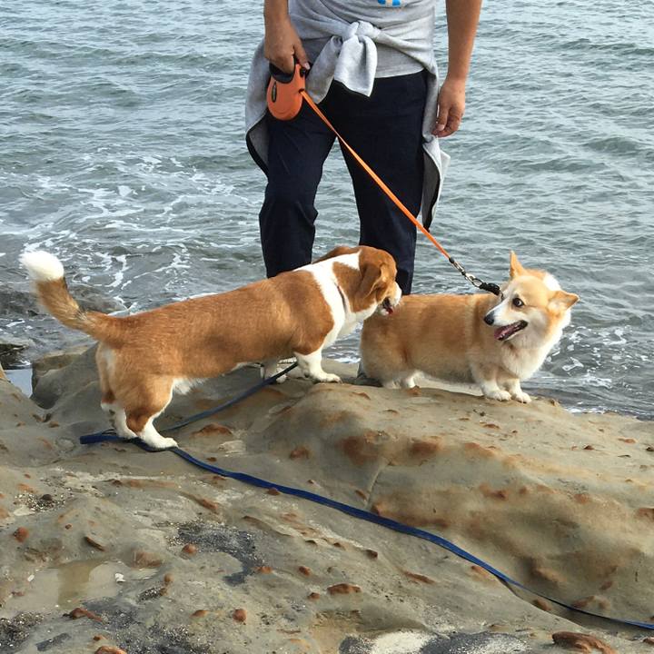 18ce22ef c8c3 4c5a b456 f6c2b3f2a79b 1601335508594