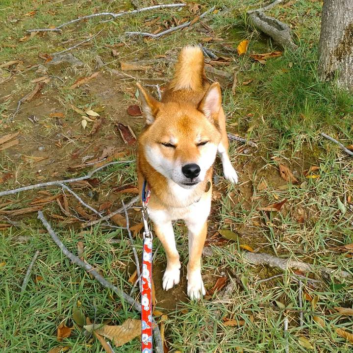 18ce6207 3e50 49fa a235 816d91264eb2 1508805655579