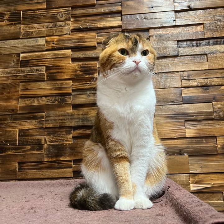 18ce8928 592a 4de1 8587 796d413a0eb5 1648727870277