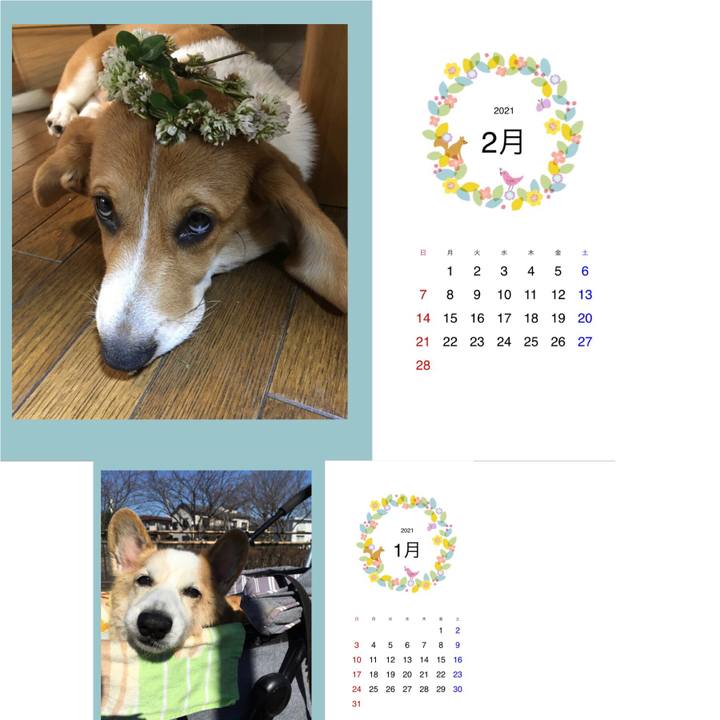 18ce9d9c f606 42c6 ae86 bc7001b991d4 1612141444218