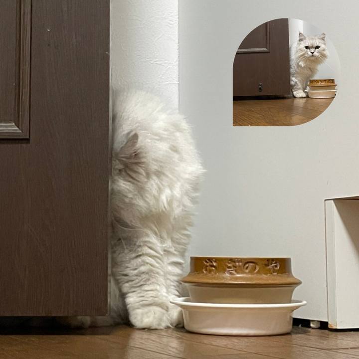 18ceae56 73d8 4703 90ba 0734bfea731d 1630805642580