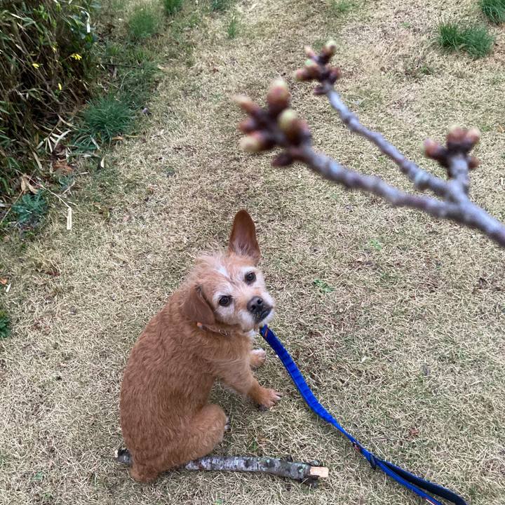 18cec26c 5626 4ed1 8d43 6279e0221782 1678705771916