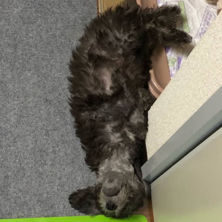 18cf1418 ab1e 4eb8 a993 f0f49d240841 1569116195234