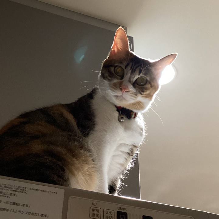 18cf231c 5b89 48c9 9941 f645e101897d 1673046321151