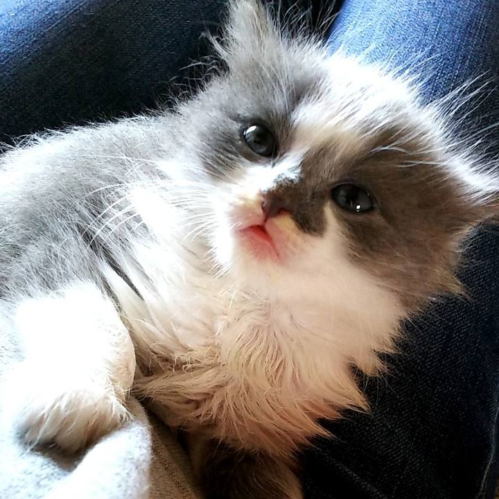 18cfb164 751a 4881 99d1 3edac757dea2 1558662565900